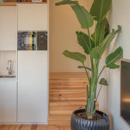 Appartement Sao Victor Residences